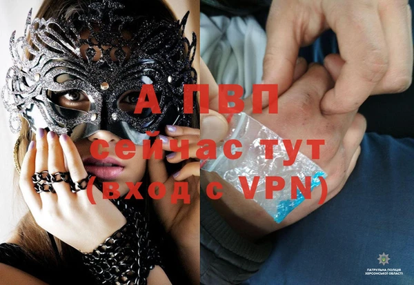 ALPHA PVP Снежинск