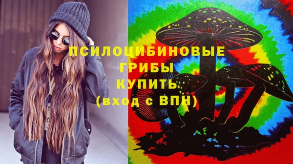 ALPHA PVP Снежинск
