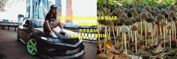 тгк Слюдянка