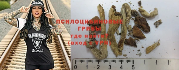 тгк Слюдянка