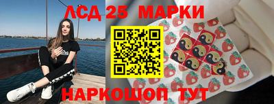гидропоника Кингисепп