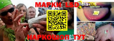 гидропоника Кингисепп