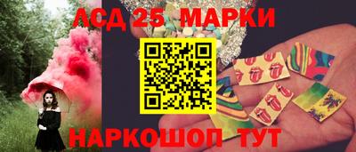 гидропоника Кингисепп