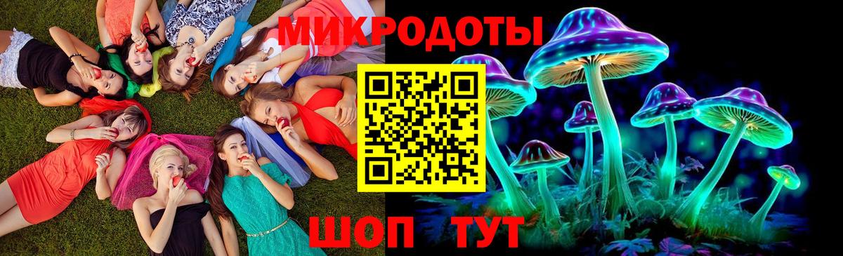 Солнечногорск  Псилоцибиновые грибы Psilocybe  Вход с VPN  Псилоцибиновые грибы Cubensis 