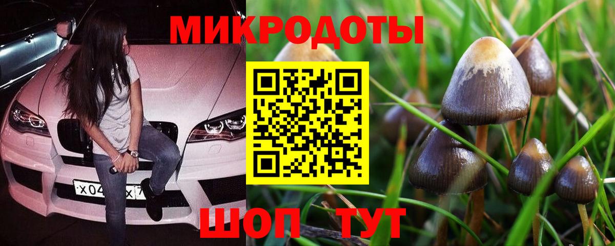 Псилоцибиновые грибы мицелий Солнечногорск