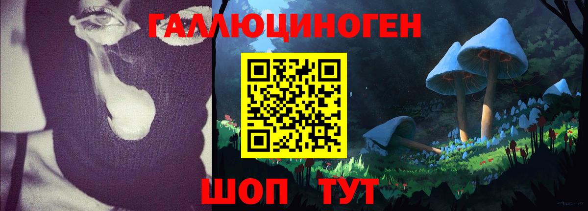 Псилоцибиновые грибы Psilocybine cubensis  как найти   Галлюциногенные грибы Magic Shrooms  Солнечногорск 